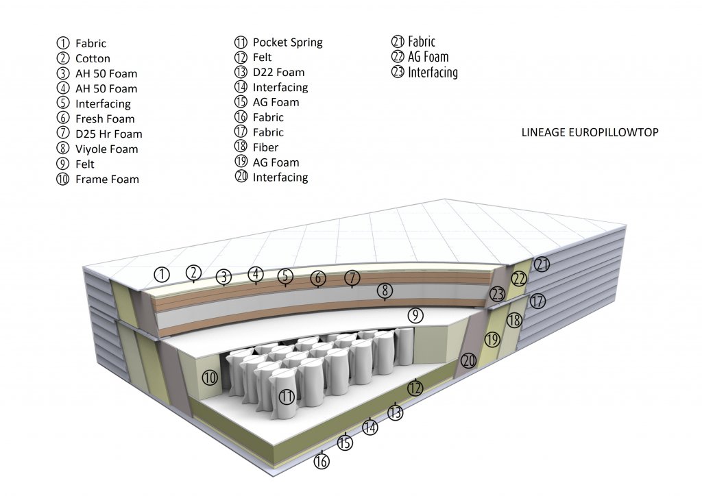 Lineage_layered_eng.jpg Lineage_layered_eng.jpg